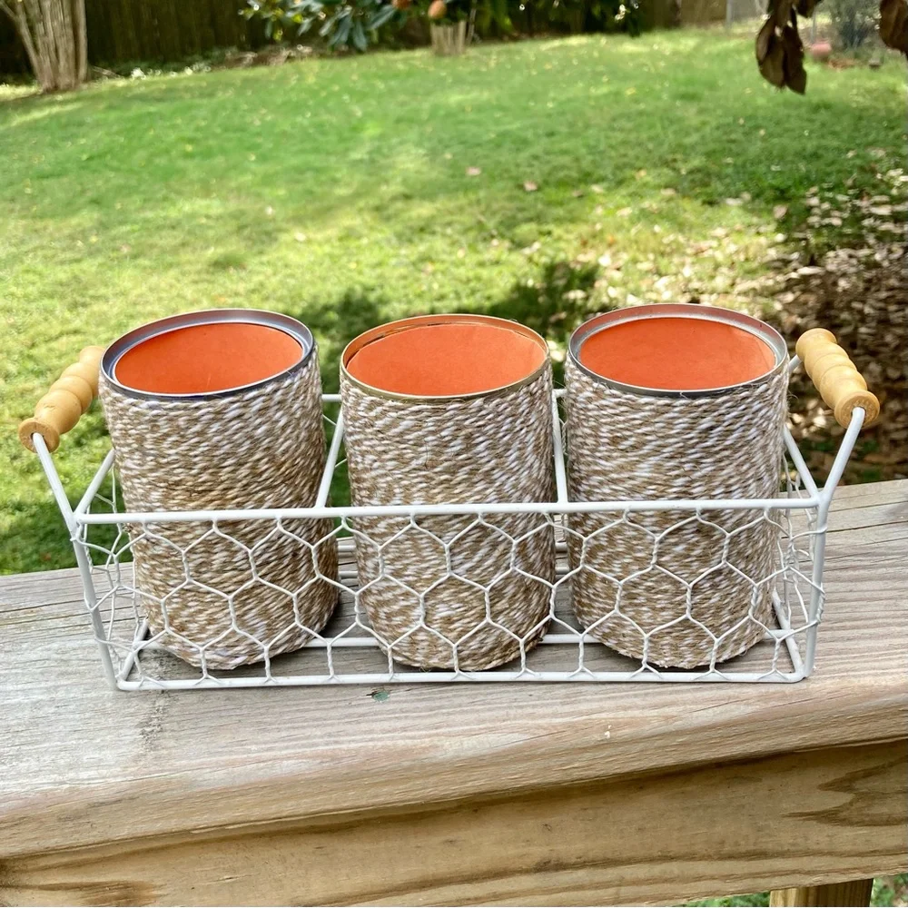 Farmhouse Shabby Chic Chicken Wire Basket Caddy Server 3 Twine Wrapped Cans